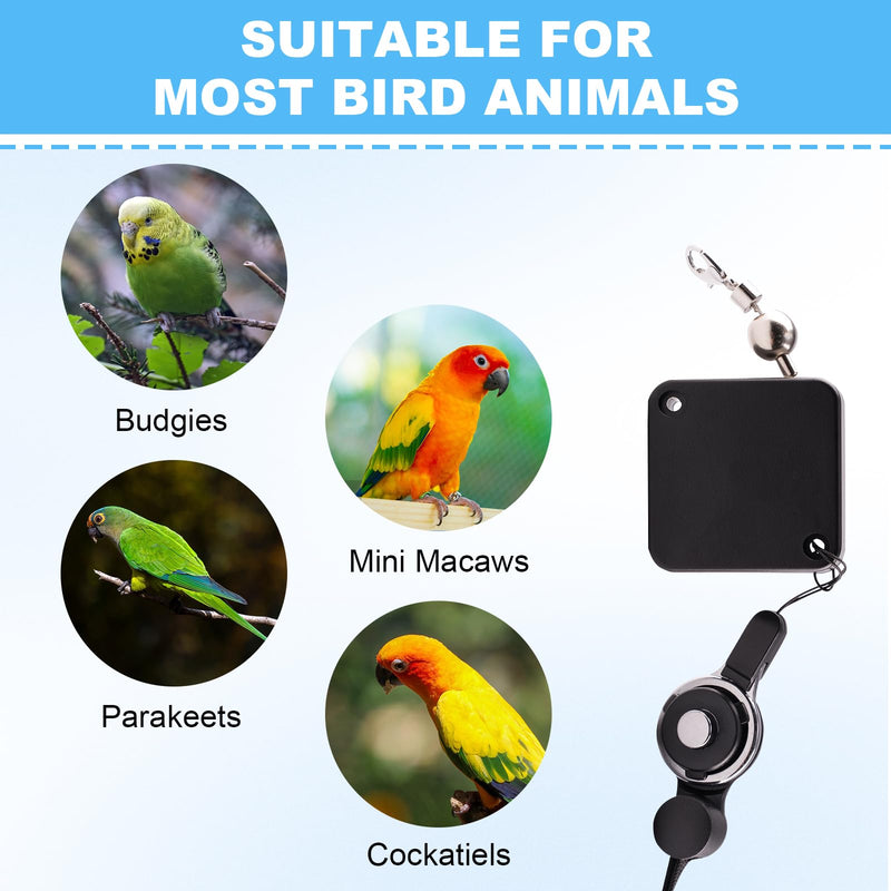 19.69Ft Retractable Bird Leash, with 5 Different Size Foot Ring and Feeder Box, Anti-Bite Parrot Harness Bird Flight Training Rope for Budgies, Cockatiels, Psittacula Longicauda, Mini Macaws 19.69FT - PawsPlanet Australia