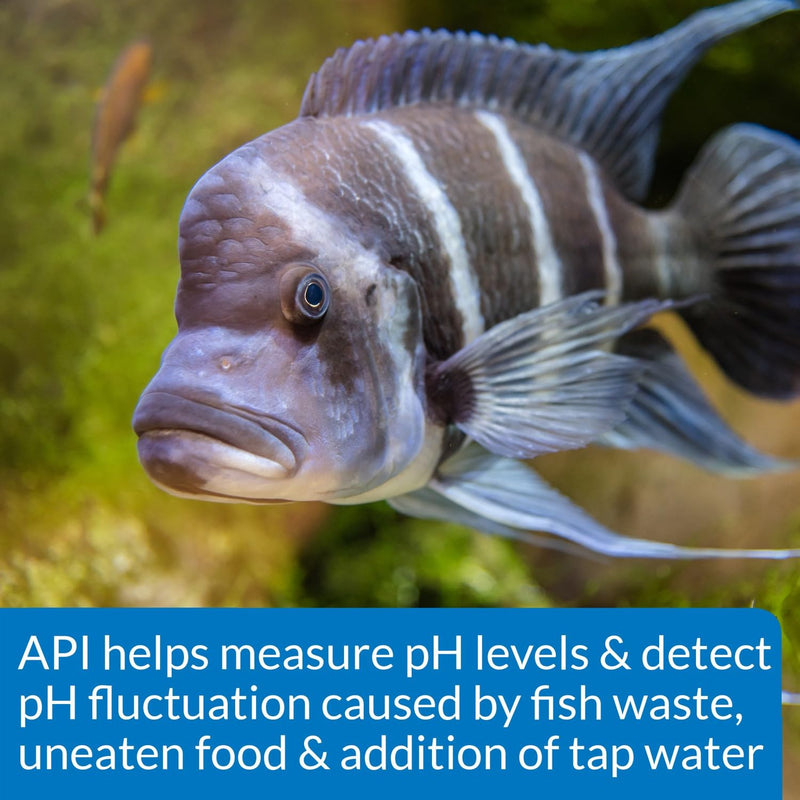 Api High Range Ph Test Kit For Fresh & Saltwater - PawsPlanet Australia
