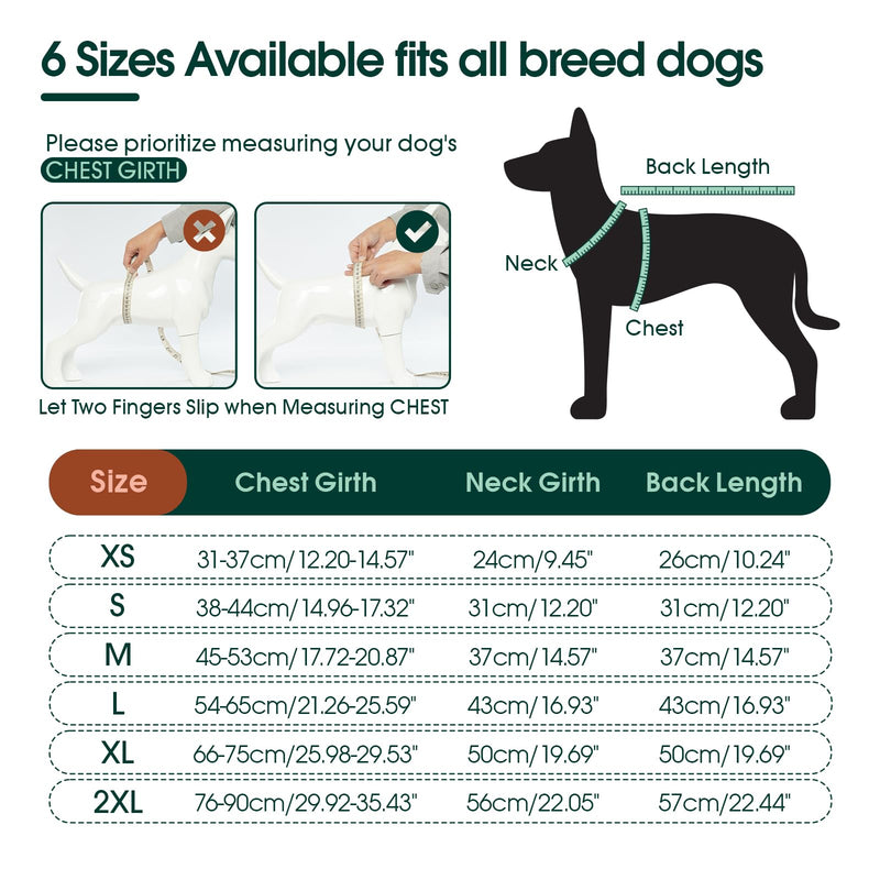 Kuoser Dog Surgery Suit Female Spay, Male Dog Recovery Sleeve Back Leg, Thigh Wound Protective Recovery Suit for Dogs, Dog Rear Leg Sleeve to Stop Licking, Pet Surgical Suit Puppy Onesie Bodysuit - PawsPlanet Australia