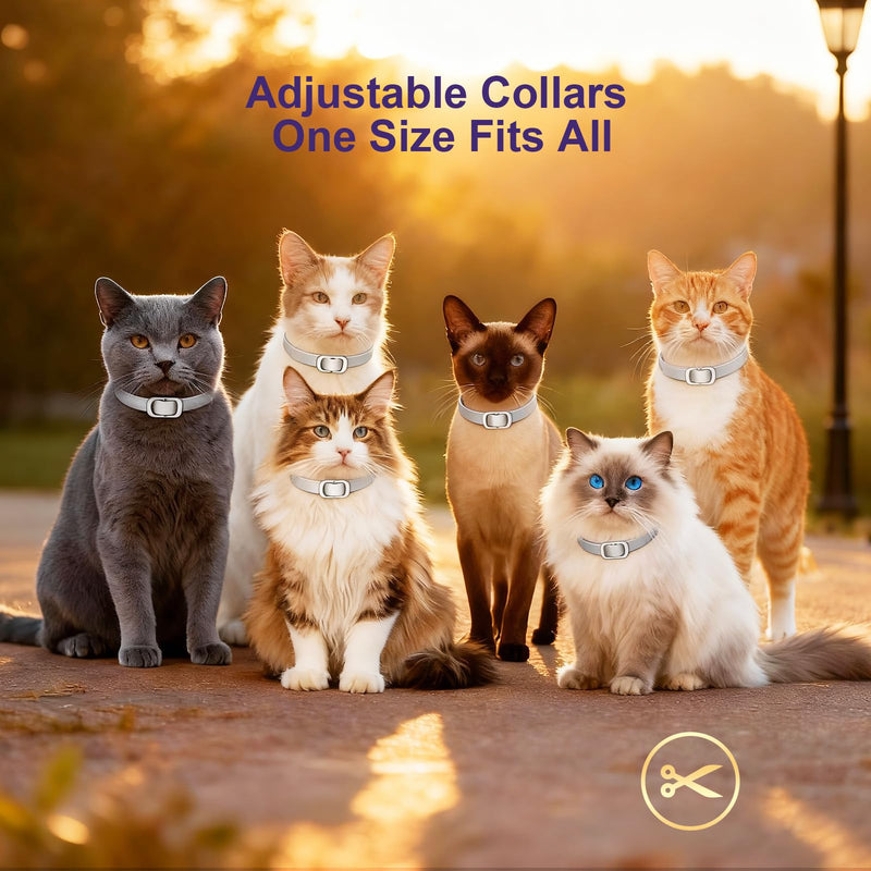 Flea and Tick Collar for Cats (4 Pack), Plant-Powered with Natural Essential Oils, Water-Resistant, Adjustable for All Cats & Kittens (Gray) Gray