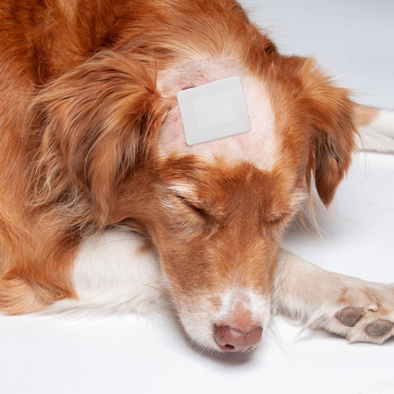 Dog Tail Guard Dog Tips Set Self Adhesive Bandage Dog Tail Dressing Vet Wrap for Dogs Pets Animals