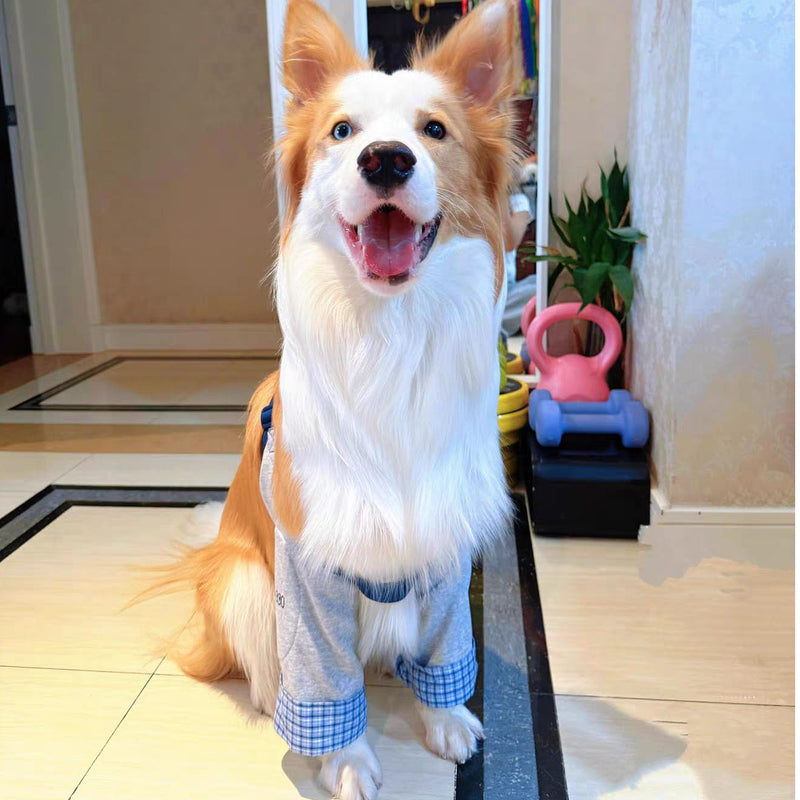 Formal Style Dog Elbow Pads – Knee Wrap Front Leg Sleeves for Large Dogs, Wound Protection & Anti-Licking Brace for Injured Legs or Joints (Grey, Size XL-Sleeve Length 11.0 inch) Grey