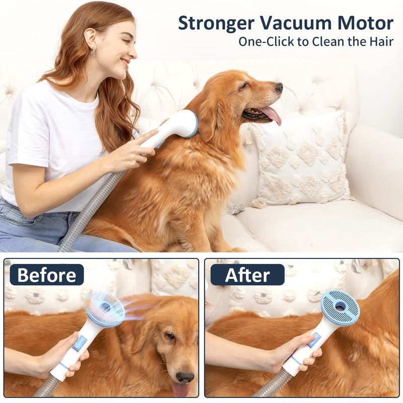 Dog Grooming Kit with 5 Professional Grooming Tools, Pet Grooming Vacuum Kit, 1.3L Dust Can, Low Noise Clippers Trimmers Deshedding Brush for Dogs Cats and Other Animals (Blue) - PawsPlanet Australia