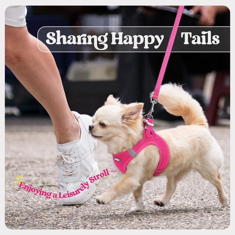 rabbitgoo Dog Harness Small Sized and Leash Set, Step in Soft Light Puppy Vest, Breathable Mesh Pet Harness, Reflective for Safe Easy Walking, Rose Red S S (Chest: 15.1 - 16.5") - PawsPlanet Australia