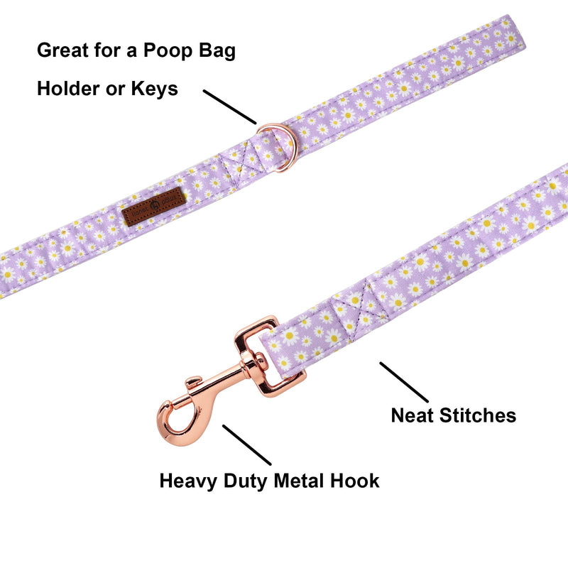 Lionet Paws Spring Daisy Dog Leash Matching Dogs Collar for Small Medium Large Dog S - PawsPlanet Australia
