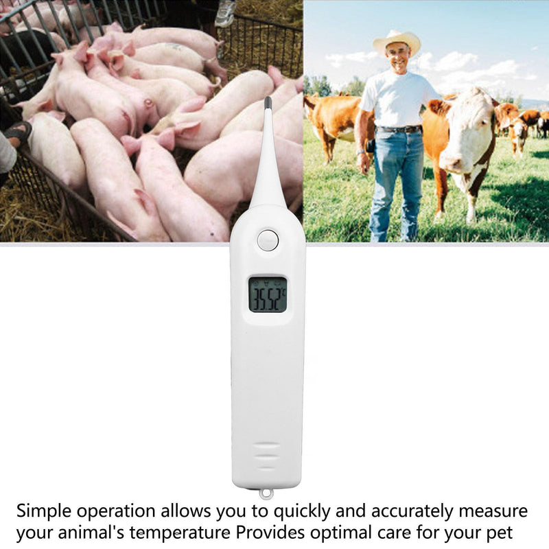 Zerodis Pet Thermometer Dog Thermometer, Non Digital Pet Thermometer for Dogs Fast Digital Veterinary Thermometer Cat and Dog Ear Temperature Monitor - PawsPlanet Australia