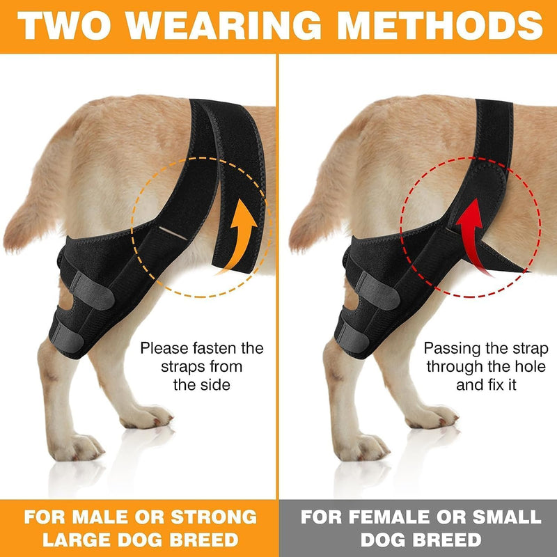 Dog Knee Brace Leg Braces - Dog Canine Knee Stifle Brace Wrap Dog Knee Brace for Torn ACL Hind Leg Joint Pain Muscle Sore Pet Brace Reduces Pain and Inflammation (S) S - PawsPlanet Australia