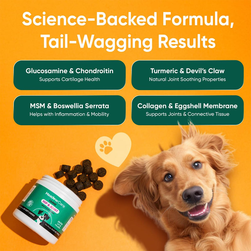 Hip and Joint Supplement for Dogs | MSM, Chondroitin & Glucosamine for Dogs | Supports Bone, Cartilage & Connective Tissue Health | Dog Joint Supplement | 60 Soft Chews180 g (6.35 oz) | MeadowCare - PawsPlanet Australia