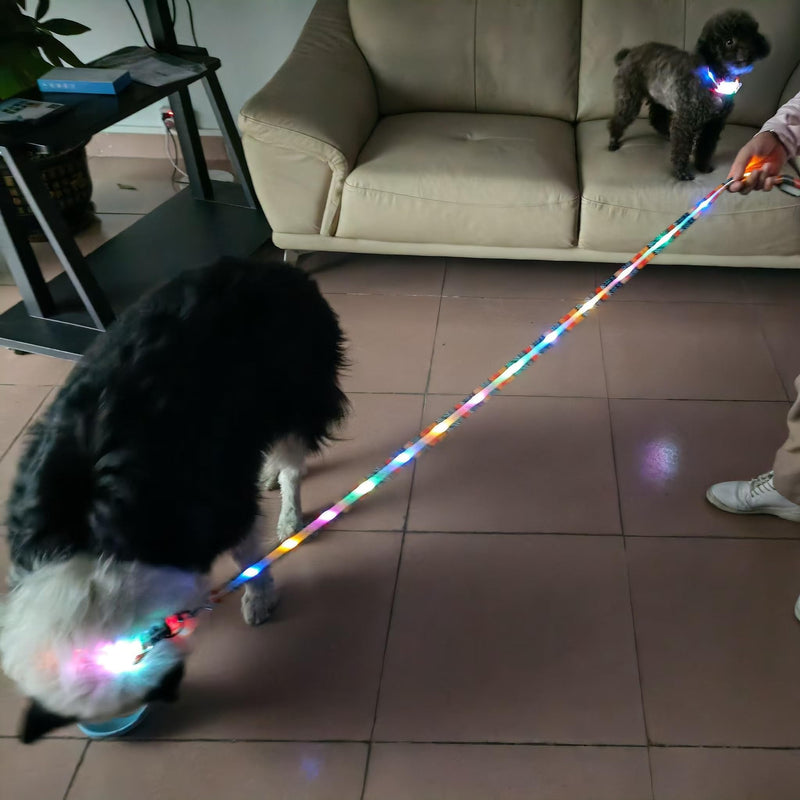 Light Up LED Dog Leash+LED Dog Collar Set USBRechargeable Waterproof,Colorful 3 Lighting Modes 5 Ft Glow Pet Leash for Small Medium Large Dogs Walking at Night(Bohemian Orange) Bohemian Orange 1.5m Leash+10-25in Collar Can be Crop - PawsPlanet Australia