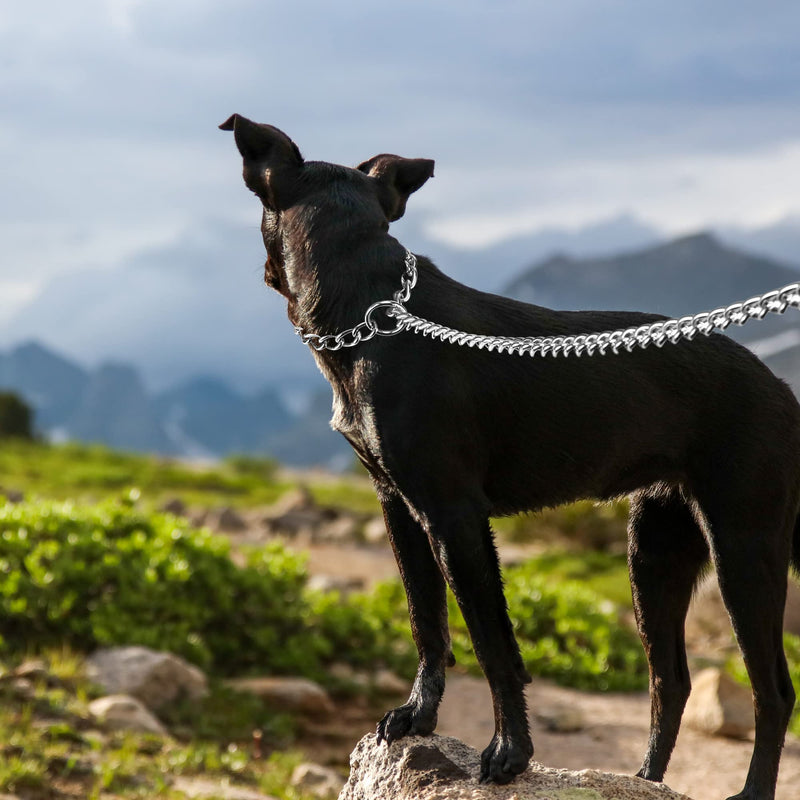 Metal Dog Leash, Integrated Dog Collar and Leash, Chew Proof Dog Chain Leash with P Chain Slip, Heavy Duty Sturdy Pet Dog Leash with Padded Handle for Large Medium Dogs 4’/3.0mm Black Handle with P Chain Slip - PawsPlanet Australia