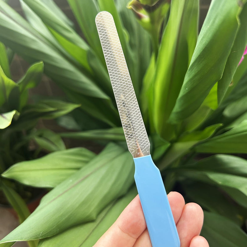 Professional Dog and Cat Claw Care with Nail File, Safety Mechanism, Pet Stainless Steel Claw Pliers, Blue - PawsPlanet Australia