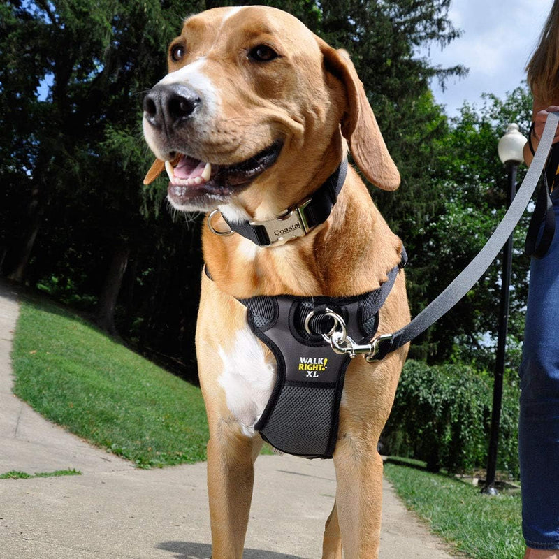 Coastal Pet Walk Right Front-Connect No-Pull Padded Dog Harness - Adjustable & Comfortable Dog Harness - Small & Large Breed Fit - Quality Pet Supplies - Black, LRG (26"-38") Large - 24"-38" girth - PawsPlanet Australia