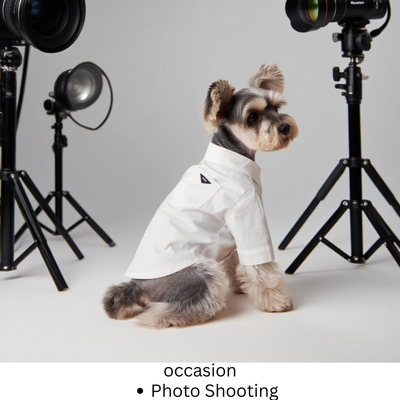Luxury Pet Dress Shirt – White Designer Button-Up Outfit, Custumes, Formal Dog Shirt for Wedding, Birthday Party, Photoshoot, Puppy & Kitten Fashion Apparel (Medium 5.6–8.8 lbs) Medium 5.6–8.8 lbs - PawsPlanet Australia