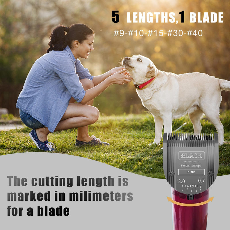 Adjustable 5 in 1 Blades Dog Grooming Blades Compatible with Wahl Animal Clipper Arco, Bravura, Chromado, Creativa, Figura, and Motion Pet, Dog, and Horse (BLACK/3PC) BLACK/3PC - PawsPlanet Australia