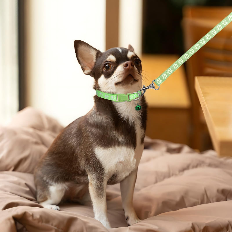 4pcs Dog Collar and Leash Set, Adjustable Puppy Collar and Leash, Anti-Escape, Quick Release, Ensures Comfortable and Flexible Wearing, Suitable for Small and Medium-Sized Pets - PawsPlanet Australia
