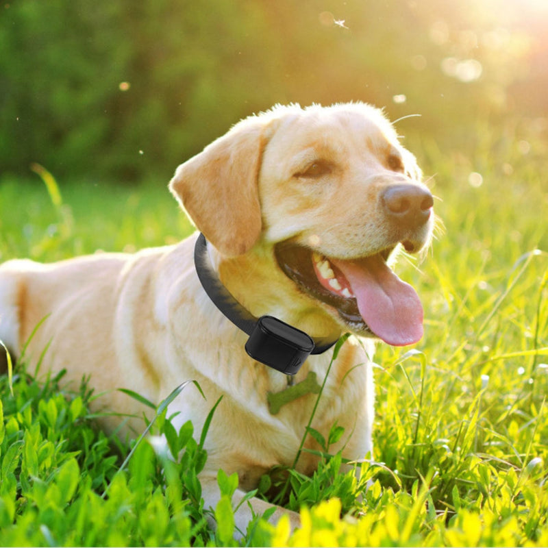 Electric Training Collar for Dogs,Waterproof Rechargeable Electronic Shock Collar with Tone/Static Shock Correction Modes,Remote Dog Training Receiver Collars Boundary Containment Fence System - PawsPlanet Australia