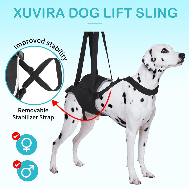 Dog Lift Harness for Large Dogs - for Senior Dogs and Pets with Weak Legs, Upgraded Adjustable Hind Leg Sling Set, Help Dog Go Up and Down The Stairs, L - PawsPlanet Australia
