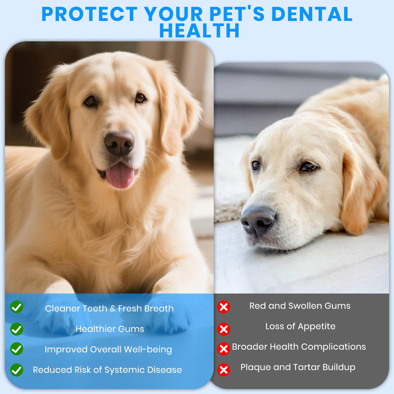 Dog Plaque Remover for Teeth,Pet Ultrasonic Tooth Cleaner with LED Light,Cleaning Kit for Tartar and Stains,5 Adjustable Modes,Pet Teeth Cleaning kit,Suitable for Dogs and Cats (White) White - PawsPlanet Australia