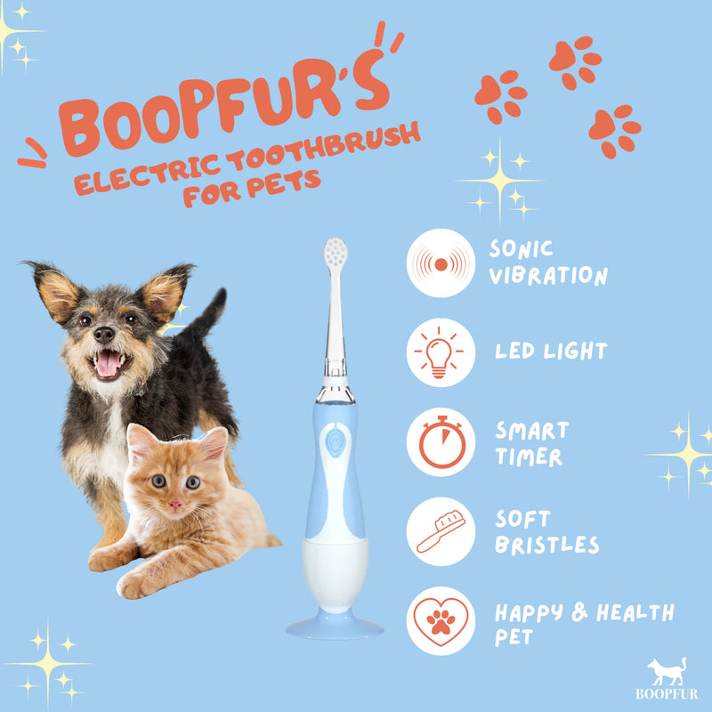 Generic Pet Electric Toothbrush for Dogs and Cats with LED Light & Soft Bristles, Blue/White