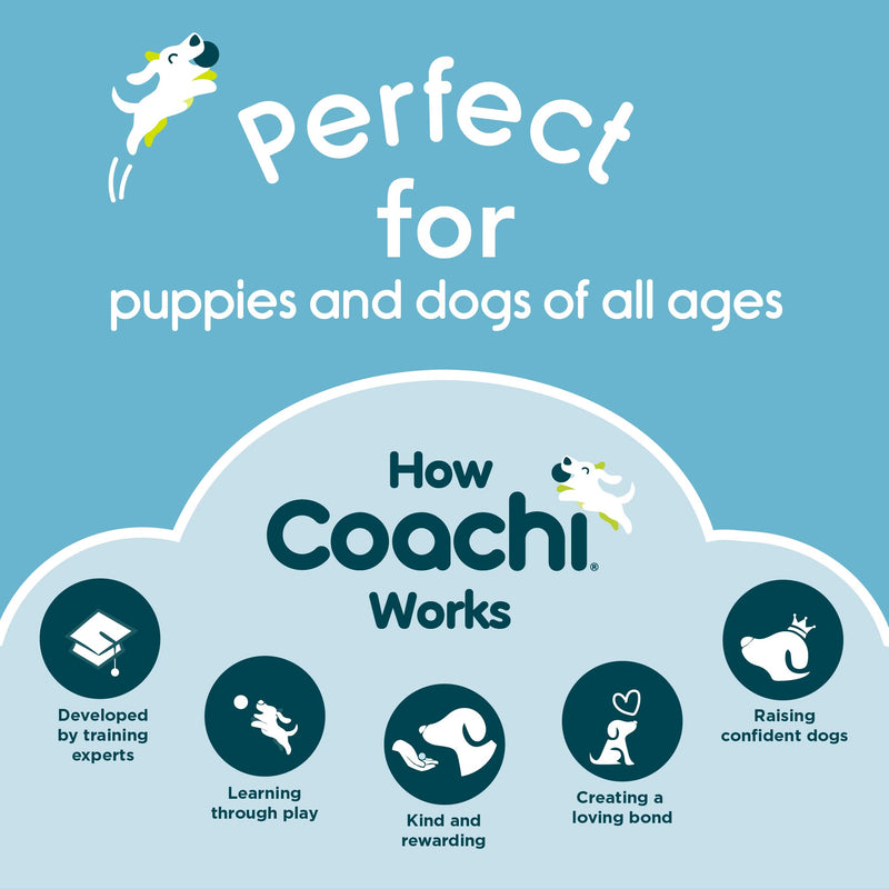 Coachi Two Tone Whistle, Train Two Dogs, Train Different Commands, Tough Material, Adjustable Reflective Lanyard, Traditional, Recall Training, Lightweight & Compact, Dog and Puppy Training - PawsPlanet Australia