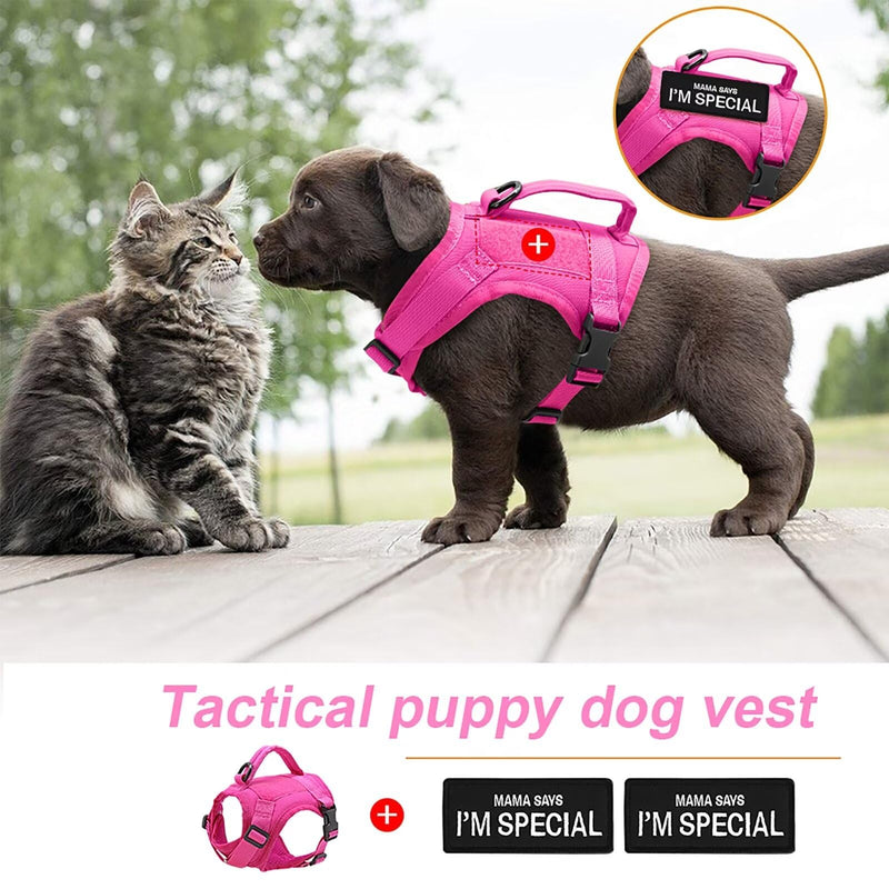 Forestpaw Cat Harness Escape Proof for Walking,Adjustable Cat Vest Harness with Soft Mesh Padded,Tactical Cat Harness with Control Handle,Molle Patches,Hot Pink Chest 12-17",Neck 8.0-12.5" Hot Pink