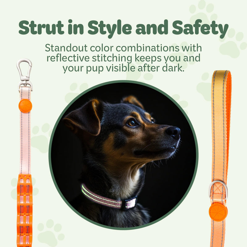 Desired Things Bungee Dog Leash Reflective Training Leash with Shock Absorbent Spring, Emergency Pull Handle, Collar Latch, D-Ring Buckle for Dog Treats, Poop Bags, Puppy Essentials - Pink and Orange - PawsPlanet Australia