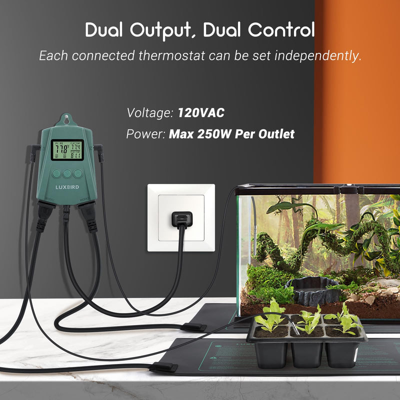 LUXBIRD Reptile Thermostat Controller (250w Per Outlet), Digital Thermostat for Turtles, Lizards, Frogs, and Other Reptiles - PawsPlanet Australia