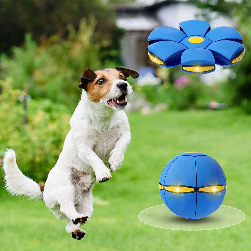 2PCS Dog Flying Disc Toy, Pet Toy Flying Saucer Ball with 3 Light for Dogs, Flying Saucer Ball Dog Toy Outdoor Toy Doggy Disc Ball, Outdoor Games - PawsPlanet Australia