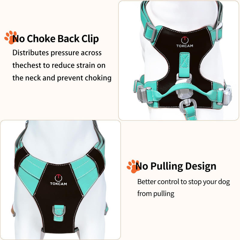 Magnetic Dog Harness and Leash Set with Quick Release Buckle, Easy On & Off Faux Leather Puppy Harness with Leash, Dog Vest Harness with Handle for Medium, Large Sized Dog Mint Blue - PawsPlanet Australia
