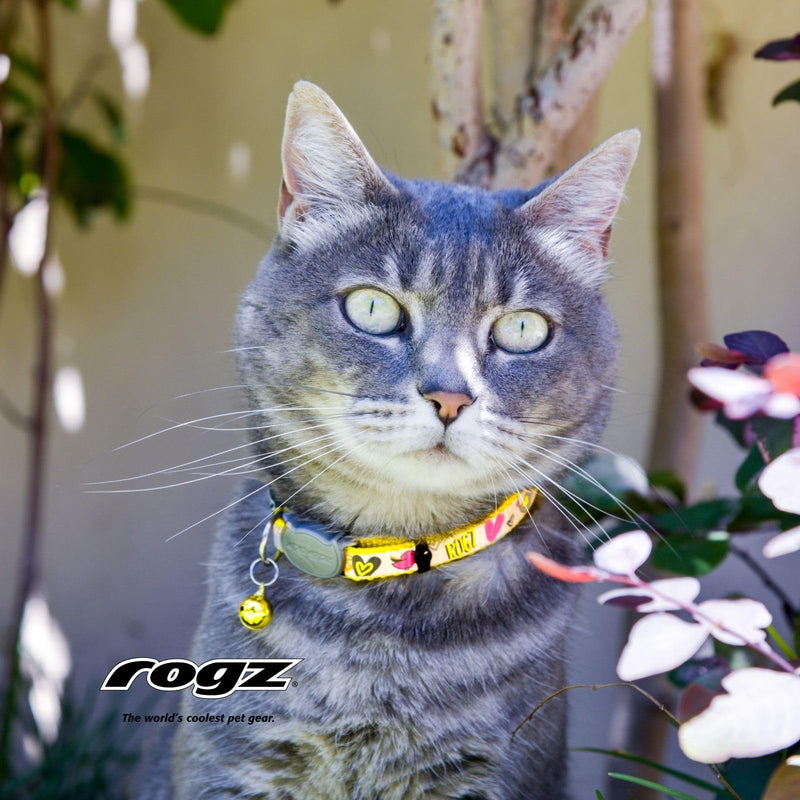 Rogz Reflectocat Collar, 8-12-Inch , Yellow/Pink Small