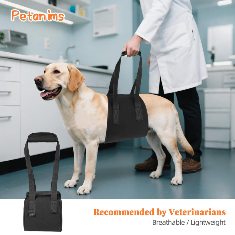 Dog Lift Harness, Heavy Duty Support Sling for Disabled & Injured Pets, Lifting Aid with Padded Handles, Post-Surgery Mobility Assistance for Dogs Small S - PawsPlanet Australia