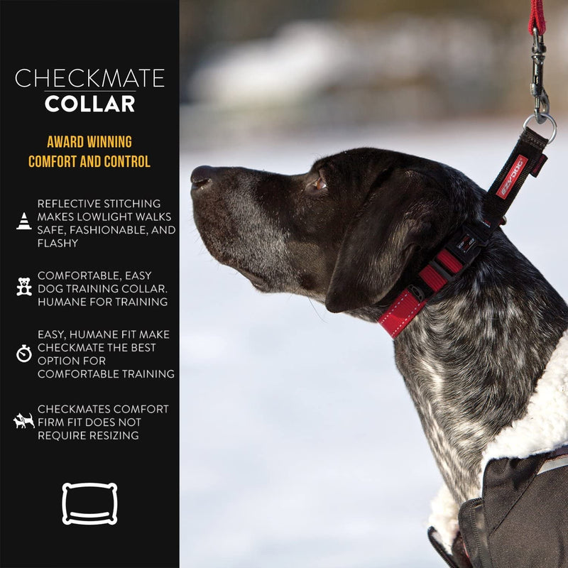EzyDog Checkmate Martingale Collar for Dogs – Premium Nylon Training Dog Collar for Easy Control with no Choking (Large, Purple) Large - PawsPlanet Australia