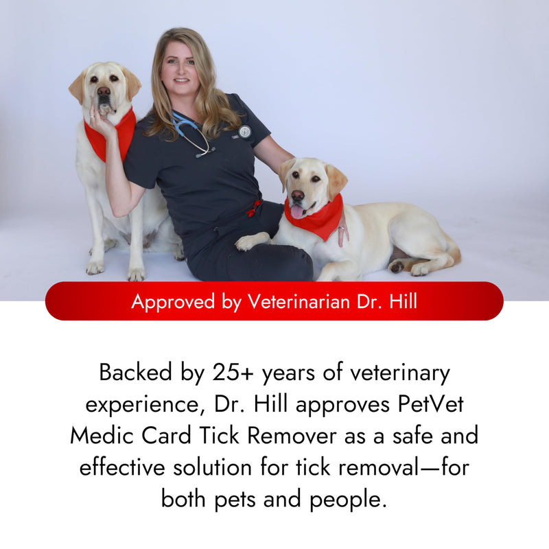 Pet Vet Tick Remover Card Wallet Sized (3 Pack) – Tick Removal Tool – Pet & Human Dog Tick Control - Safe, Pain-Free, Reliable, & Complete Removal of Big and Small Ticks – Dog Accessories