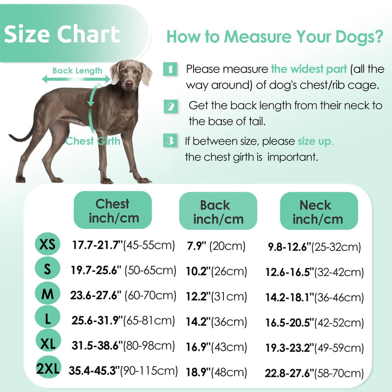 AOFITEE Dog Life Jacket, Dog Life Vest for Swimming with High Flotation, Small Dog Swimsuit Lifejacket with Rescue Handle and Zipper, Reflective Dog Swimming Vest for Small Medium and Large Dogs, S PeacockGreen - PawsPlanet Australia
