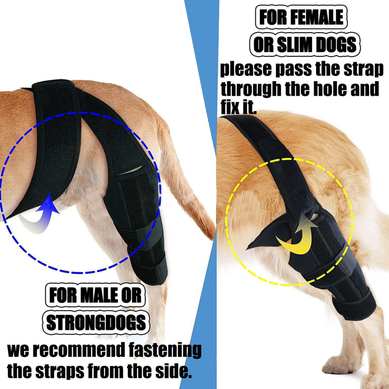WADY Dog Knee Brace for Hind Leg, Dog Knee Brace for Wound Injury and Sprain Healing of Arthritis for Torn ACL Front Leg, Cruciate Ligament Support for Cocker Spaniel, Yorkie, Arthritis (L) L