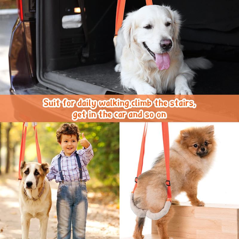 Mixweer 2 Pcs Dog Support Harness for Back Legs Dog Rear Lifting Sling Aid with Handle and Shoulder Strap Hind Leg Support for Pet Mobility Helps Puppy with Poor Stability Joint Injuries(Orange) Orange