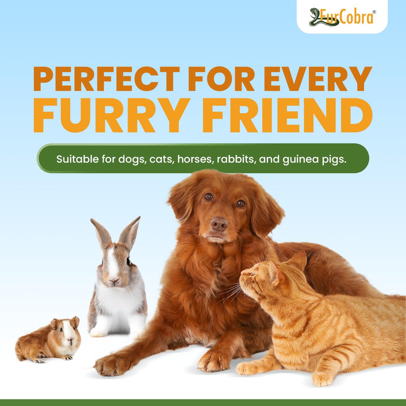 Direct 10 Pet Grooming Brush 3.54" - Gentle, No Metal Blades, Portable Soft Dog, Cat Brush - Train Pets to be Brushed - Slicker Grooming Tool for Puppy, Kitten, Cat Hair, Dog Hair - PawsPlanet Australia