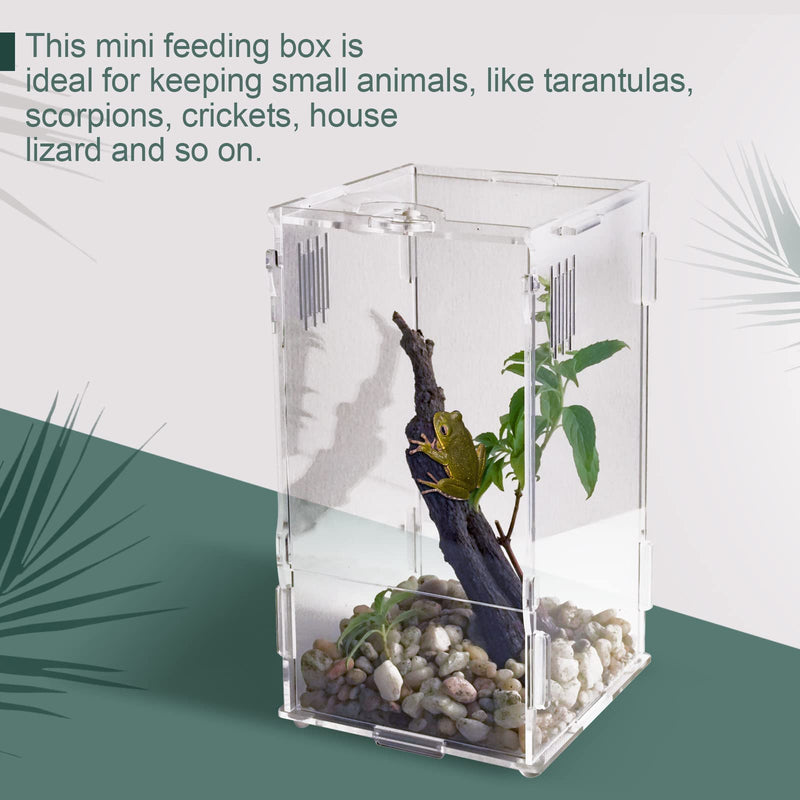 BETAZOOER Acrylic Mini Reptile Tank Habitat Transparent Terrariums with Locking Latch Suitable for Tarantula Isopod Roach Invertebrates (4''x4''x8'') Small