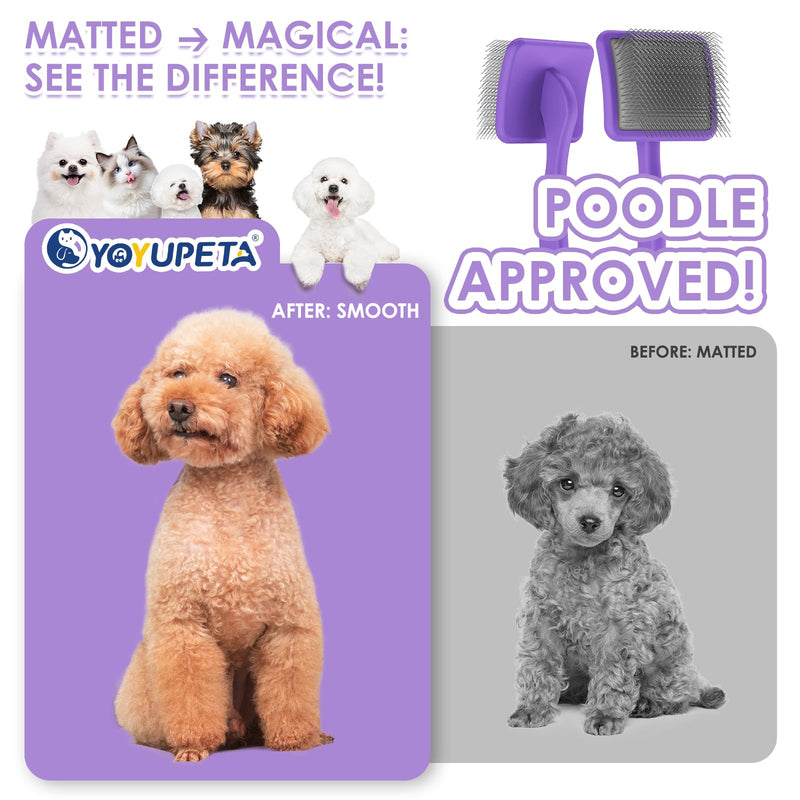 Large Slicker Brush for Dogs - 3PC Pet Grooming Kit - Undercoat Rake & Stainless Comb | Long Pins Remove Mats on Poodles, Golden, Labradoodles | Thick Coat Deshedder for Dogs, Cats, Purple - PawsPlanet Australia