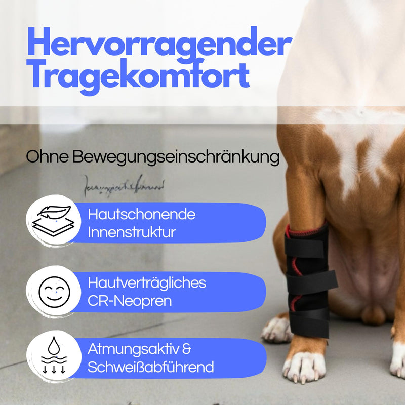 TSM Dog Bandage Front Leg Rehabilitation Bandage without Splint Stabilisation for Osteoarthritis and Injuries Can be Worn on Both Sides Made in Germany Item No. 7520 Size S