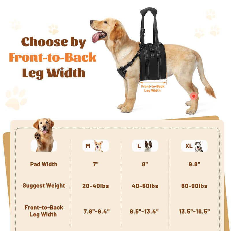 NOYAL Dog Lift Harness Sling - Adjustable Pet Carrier for Senior Dogs with Arthritis Joint Injuries, Emergency Support Rehabilitation Aid for Nail Trimming, Stairs Assistance Medium Black1 - PawsPlanet Australia