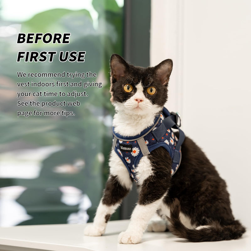 Soft Mesh Cat Harness and Leash Set for Walking,Escape Proof No Choke Step in Kitten Vest Harness,Reflective Ajustable Puppy Vest for Traveling Blue M (Chest:15"-17")