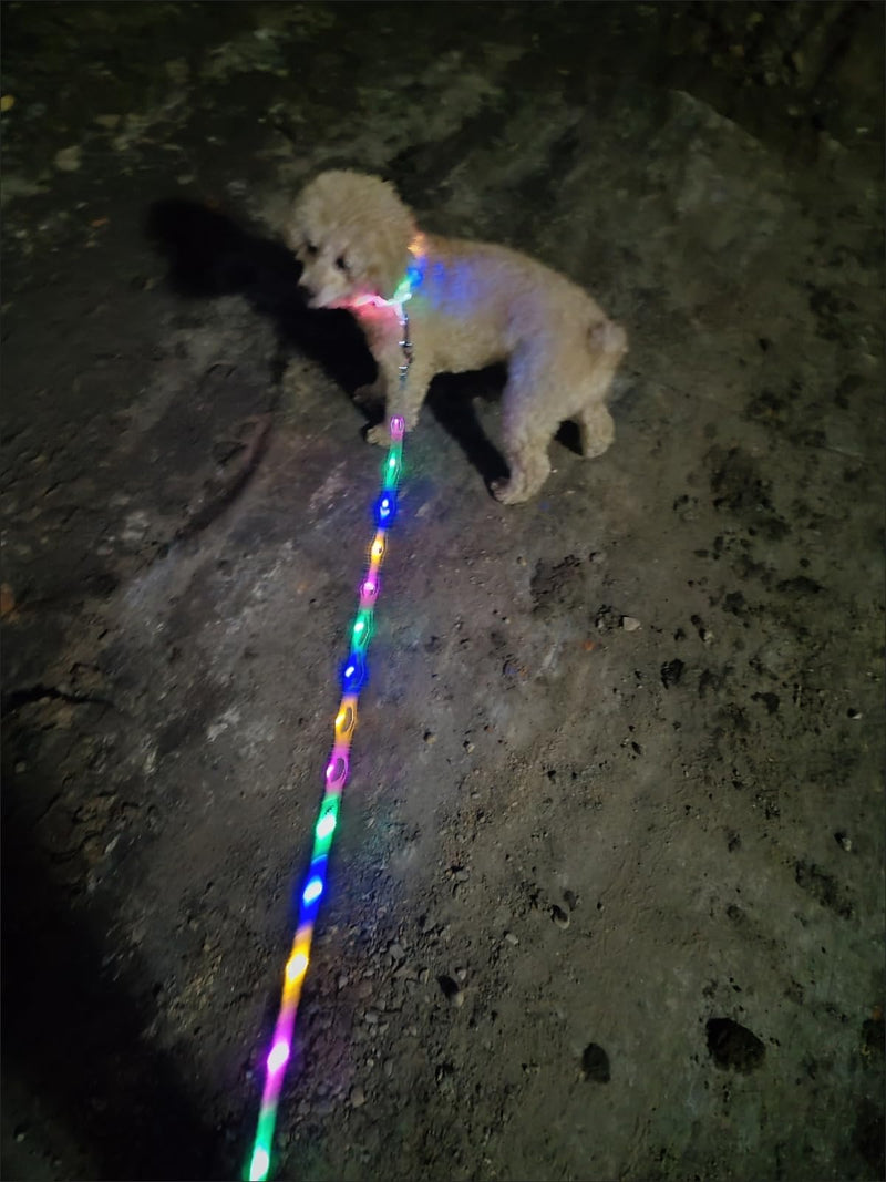 Light Up LED Dog Leash+LED Dog Collar Set USBRechargeable Waterproof,Colorful 3 Lighting Modes 5 Ft Glow Pet Leash for Small Medium Large Dogs Walking at Night(Bohemian Orange) Bohemian Orange 1.5m Leash+10-25in Collar Can be Crop - PawsPlanet Australia