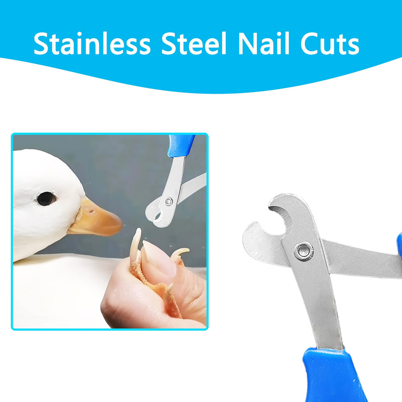 Call Duck Nail Clippers with Nail File，Stainless Steel Call Duck Chicken Hen Roster Goose Toe Nail Clippers Professional Grooming Pet Tool for Small Breed Animals - PawsPlanet Australia