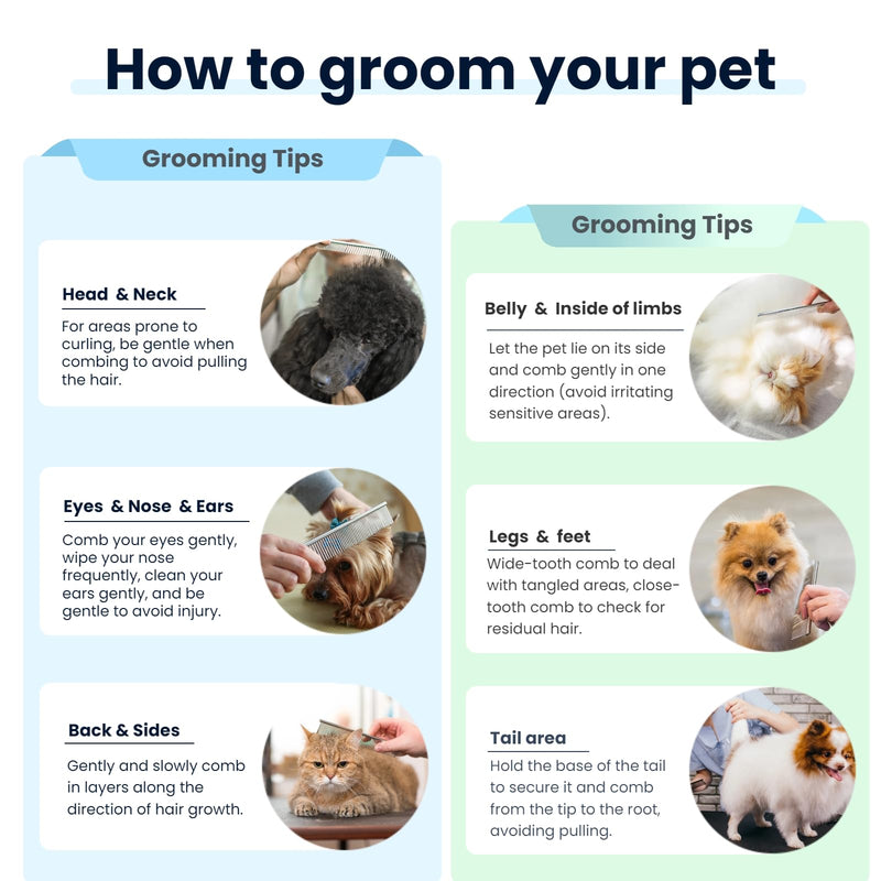 [3 Pack] Stainless Steel Pet Comb Set – Grooming Combs for Dogs & Cats, Large Medium Small Sizes – for Long, Short, Curly Hair, Detangling Matted or Knotted Undercoat Hair - PawsPlanet Australia