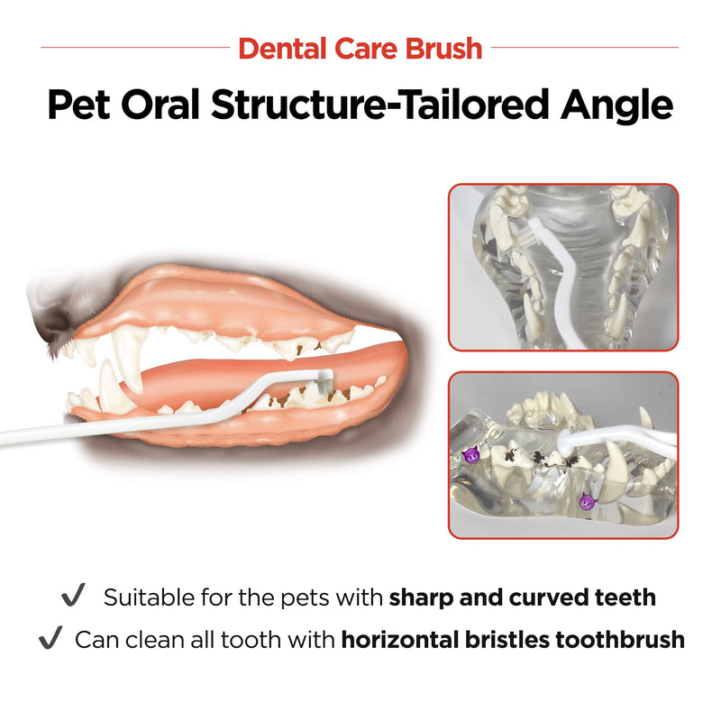 JAYU PET Dental Care Brush (Soft Bristles) 3ea - Dog Toothbrush, Cat Toothbrush, Dental Care for Kitten and Small Dogs, Removing Old Plaque and Tartar, Cat Teeth Brushing & Easy Cleaning Soft Bristles 1 Count (Pack of 3) - PawsPlanet Australia