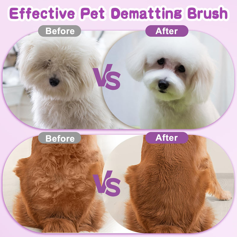 Pet Grooming Brush for Dogs and Cats, Effectively Reduces Shedding by Up to 95%, Self-Cleaning, Long or Short Hair Remover for Medium Dogs & Cats(Large) Large - PawsPlanet Australia