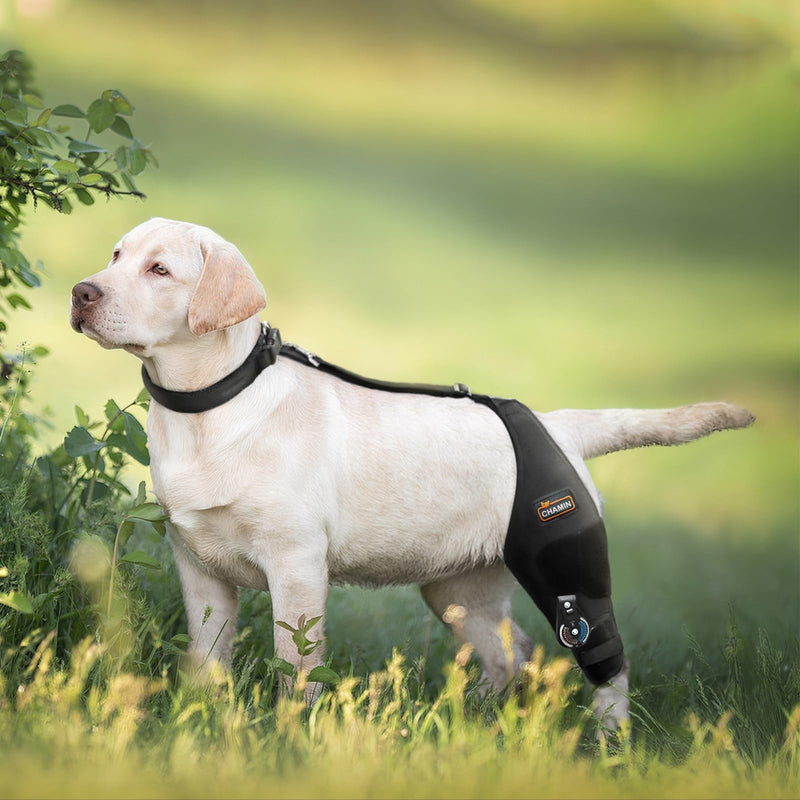 CHAMIN Adjustable Dog Knee Brace for Torn ACL Hind Leg, Support for Tear Ligament, Osteoarthritis, Rear Leg Limp, Recovery After Surgery,et(Left Leg,S) Left Leg S