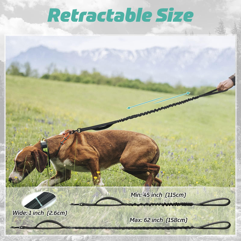 Rabbitgoo Bungee Dog Lead for Medium and Large Dogs, Anti Pull Tactical Leash with 2 Padded Traffic Control Handles for Training and Walking, Quick Lock and Release, Black, 114-158cm 114-158 cm (Pack of 1) - PawsPlanet Australia