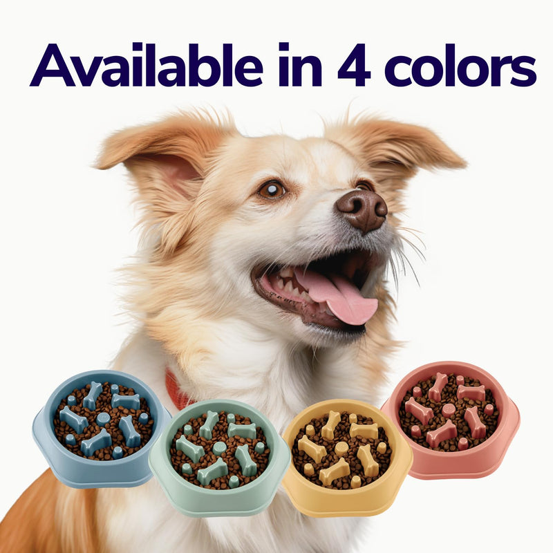 Slow Feeder Dog Bowls for Fast Eaters - For Small, Medium Sized Dogs - Dog Puzzle Maze Helps Slow Down Eating - Adult, Puppy Food Bowl for Bloat Stop - Non-Slip Dog Slow Feeder Bowl (Blue) Blue - PawsPlanet Australia